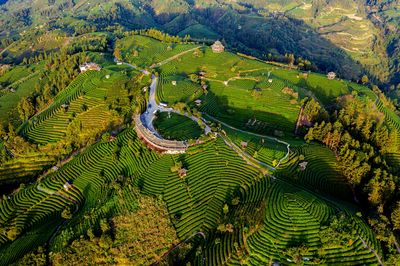 Buyang Chashan Tourist Area