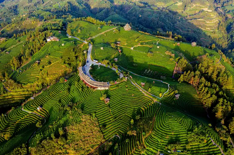 Hotels near Dongtian Palace Scenic Area
