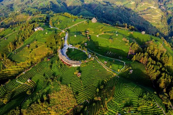 義大利航空 飛 百色