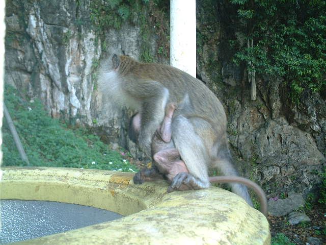 Merdeka Square