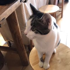 Pangding In Dali · Rose Cottage User Photo