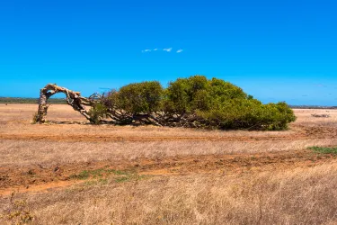 Geraldton