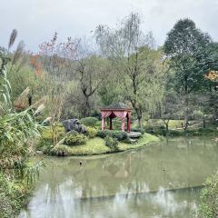 LONGJING MANOR User Photo