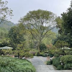 LONGJING MANOR User Photo