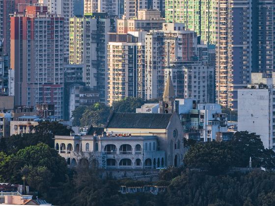 서양산을 바라보다