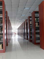 Xingtai Minjian Gongyi Library