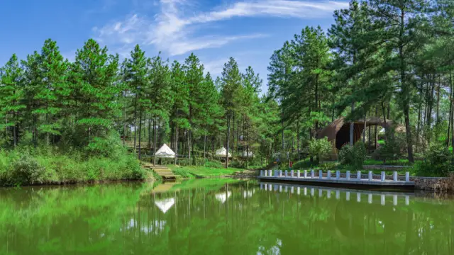 Camping in AnJi