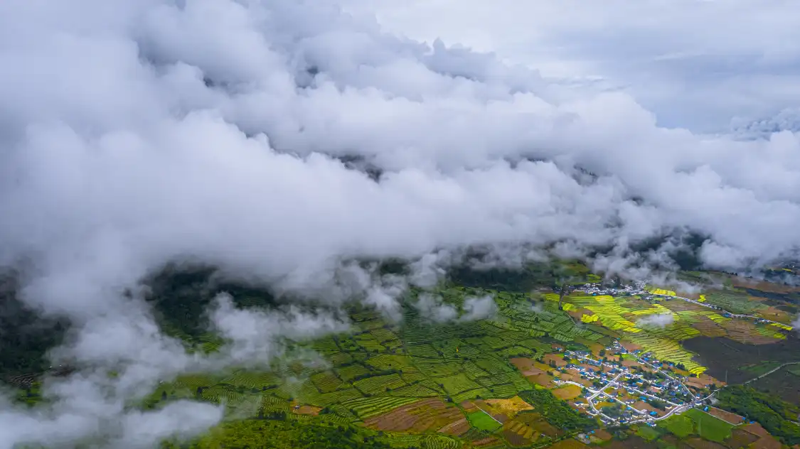 Hotels near Xiachayu Town