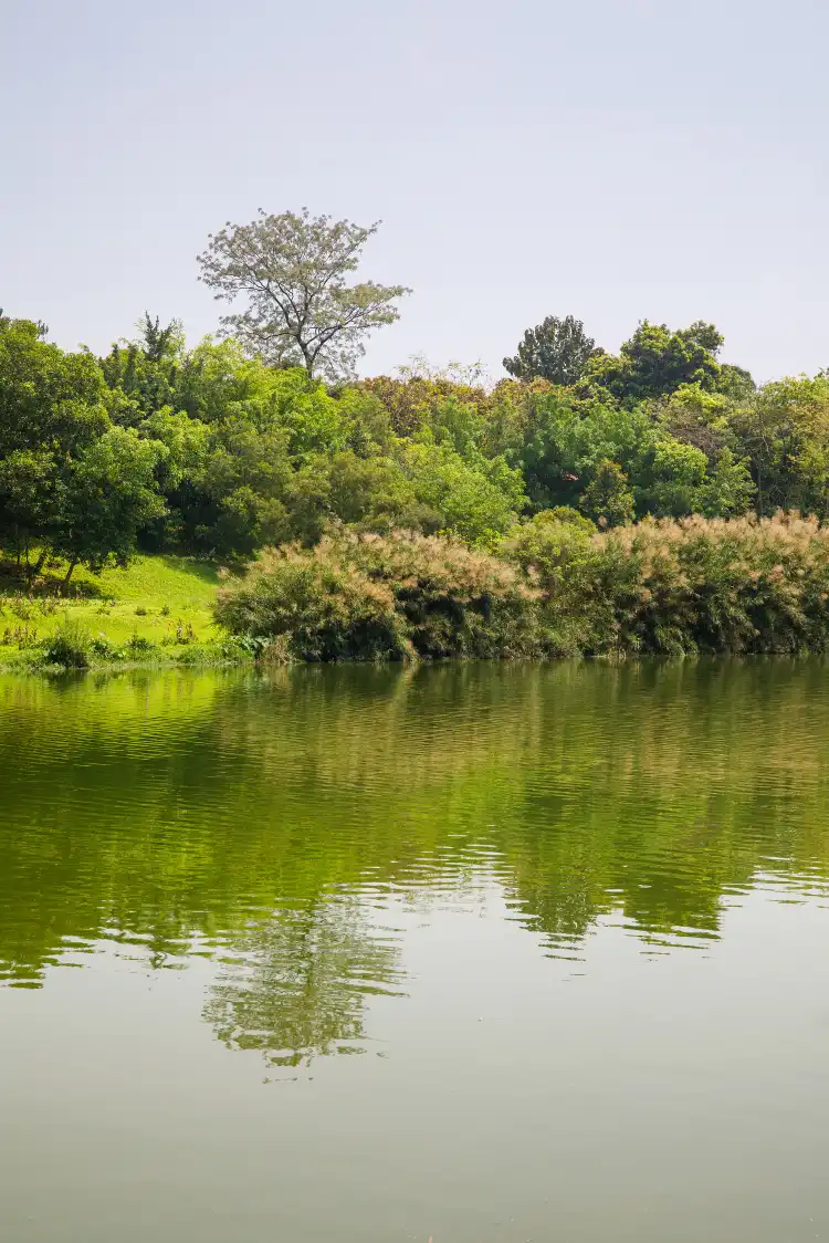 Hotels near Xiangsihu Park