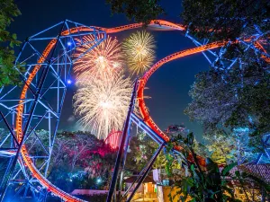 Busch Gardens Tampa Bay