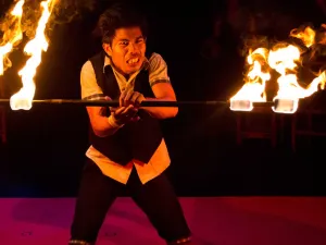 Phare, The Cambodian Circus