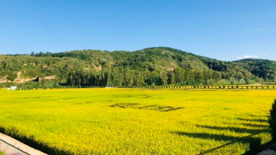 陝西延安南泥灣國家濕地公園