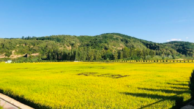 Shaanxi Yan'an Nanniwan National Wetland Park