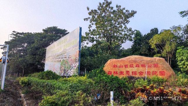 Guangdong Hongshan Forest Park