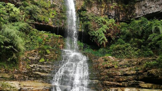 Guilan Mountain