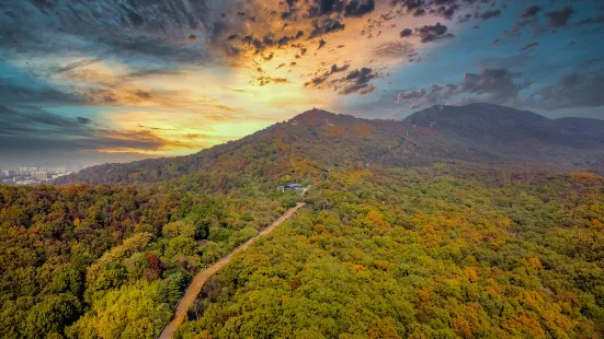 紫金山風景區