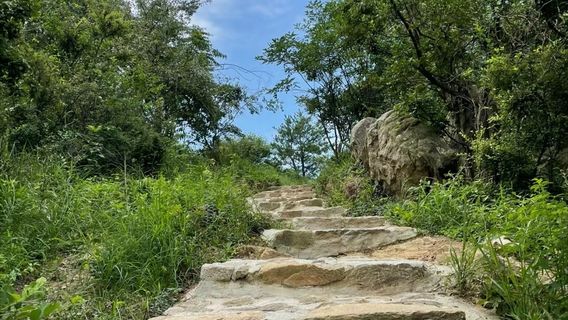 Fucha Mountain Forest Park