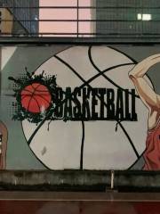 8D空中籃球公園（重慶愛琴海購物公園店）