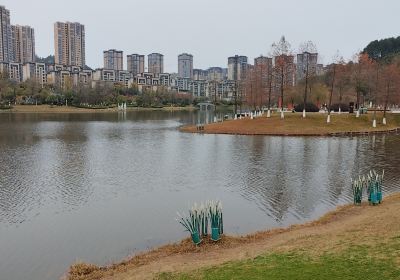 金松湖公園