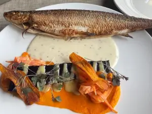 Merimakasiini