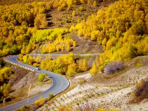 황강량 국가삼림공원