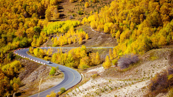 Huanggangliang Nature Reserve