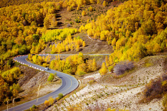 Huanggangliang National Forest Park