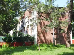 Panjab University