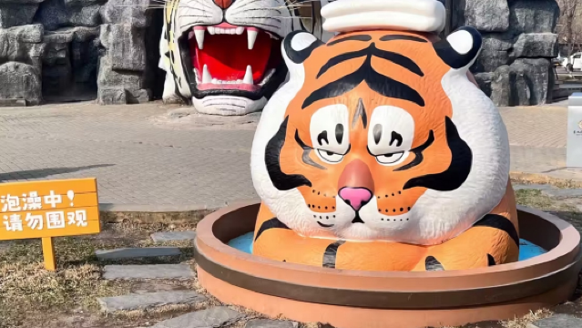 Northeast Tiger Park - Amusement Park