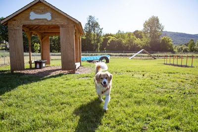 West Rutland Dog Park