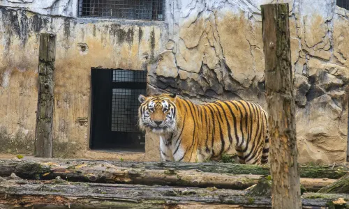 黔靈山動物園