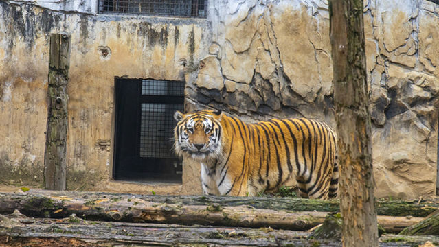 Qianling Mountain Zoo