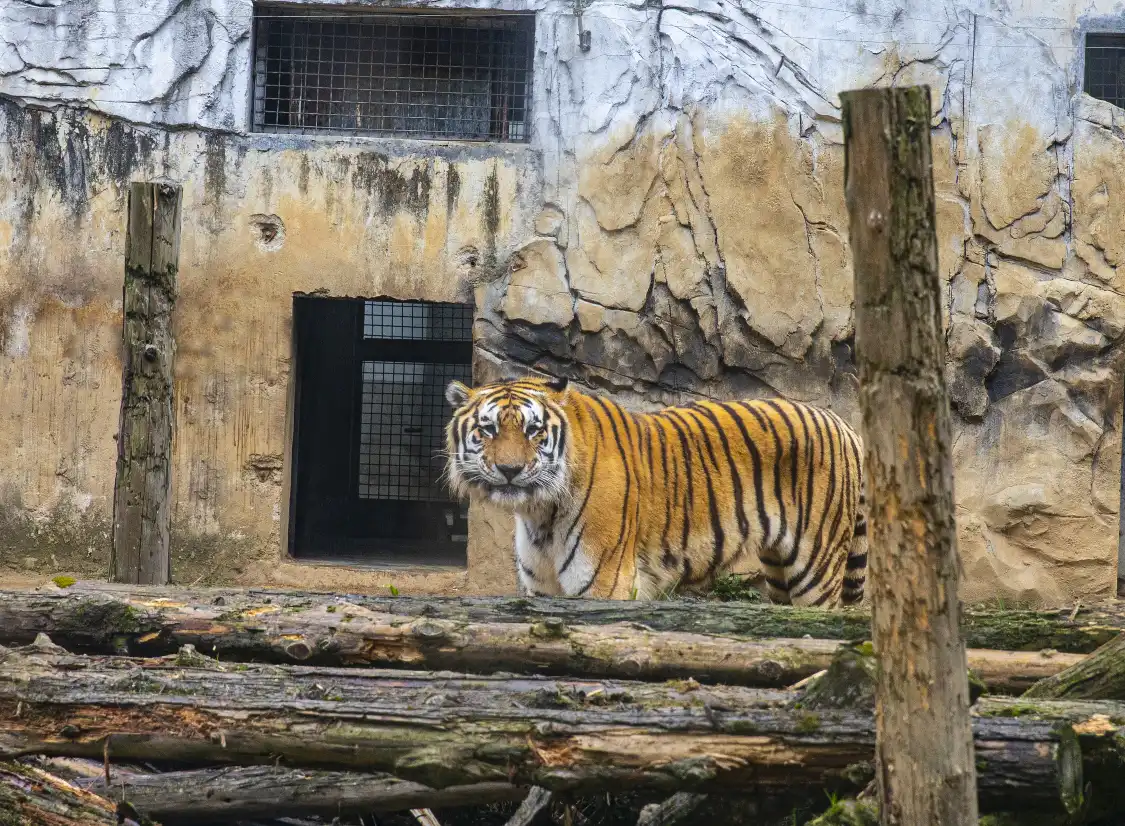 첸링산 동물원 주변 호텔