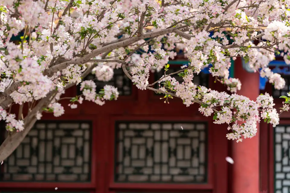 4_Prince Kung's Palace Museum