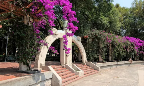 Parque Mexico