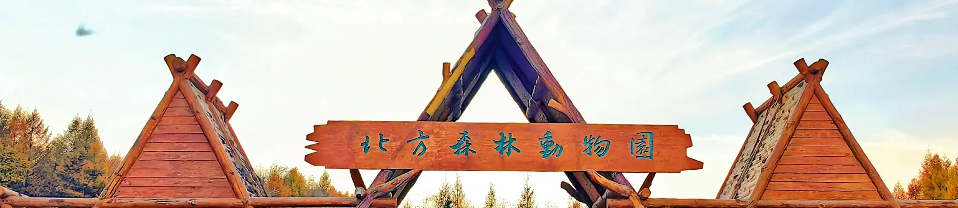 Trending Attractions