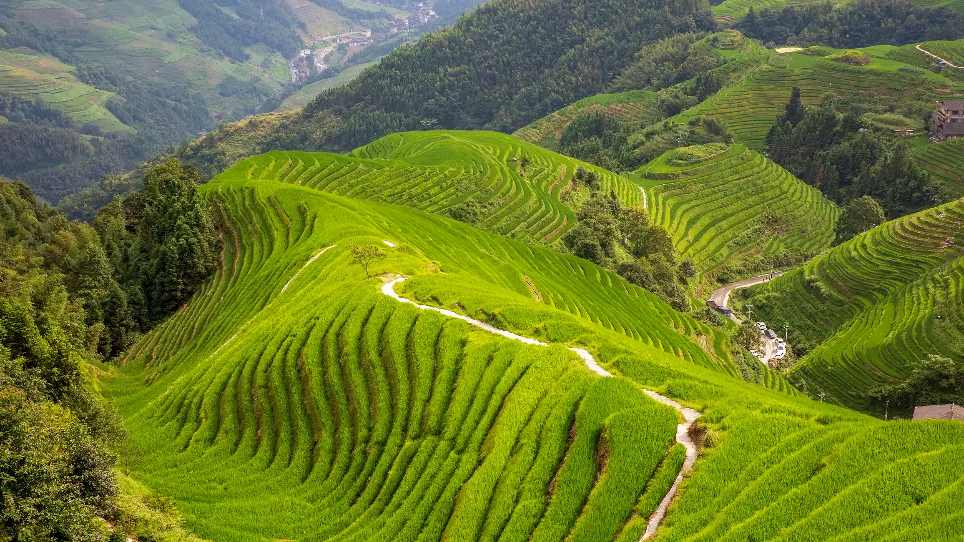 Hotels near Longji Terraced Fields Scenic Area - Ping'an Village Terraced Fields