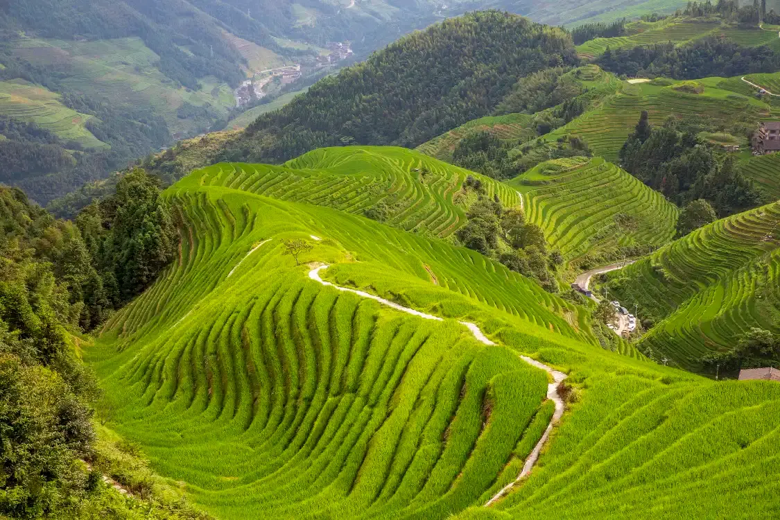 Hotels near Longji Rice Terraces Scenic Area - Ping'an Village Terraces