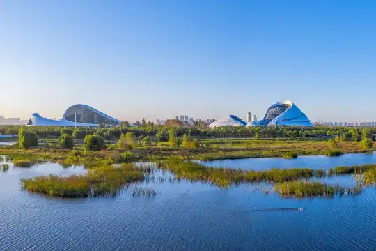 Hotels near Songhua River