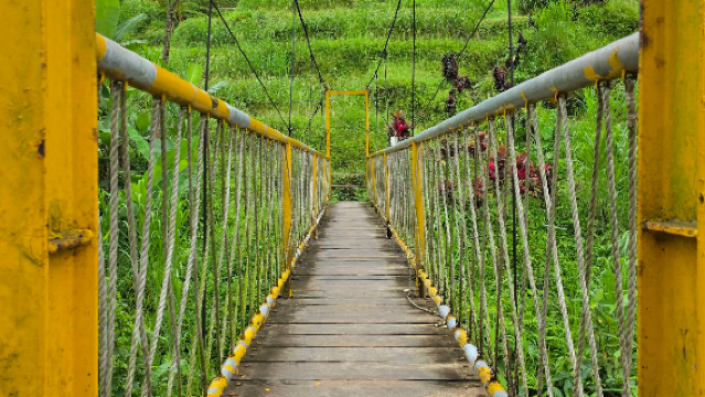 Uma Ceking Bamboo Bridge
