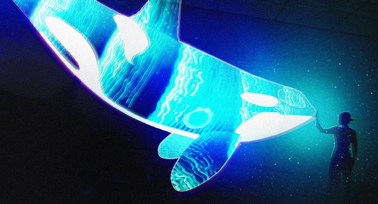 《臨界距離》沉浸體驗展 | 皇家BC省博物館