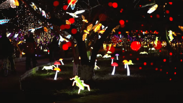 2026 Guantao Taoshan Food Festival and Romantic Light Show
