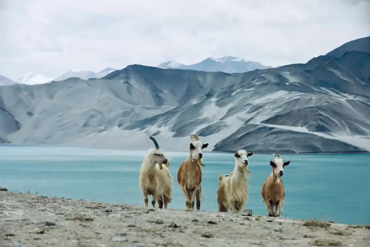 Baisha Mountain - Baisha Lake