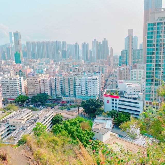 行一轉嘉頓山，童年回憶返晒黎，帶上細路周末行山，好舒適!