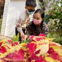 #親子好去處 #【 荔枝角公園｜打卡秘密小花園 】