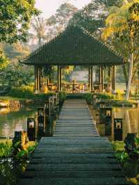 Sanctuary in Bali