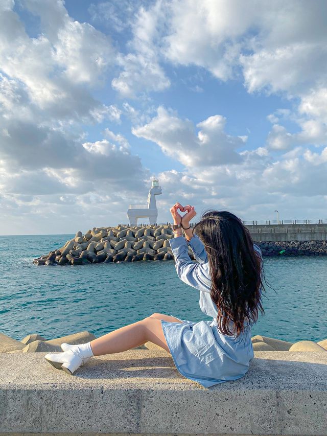 제주도 이호테우 해수욕장ღ'ᴗ'ღ