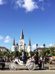 New Orleans City Park