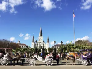 New Orleans City Park