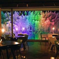 莫幹山課間度假酒店·晴餐廳張用戶圖片
